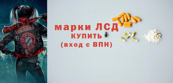 дживик Белокуриха