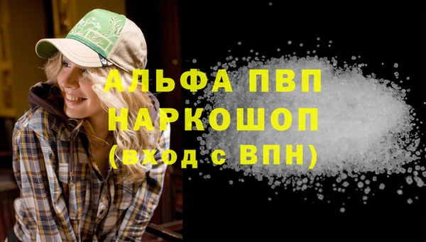 дживик Белокуриха