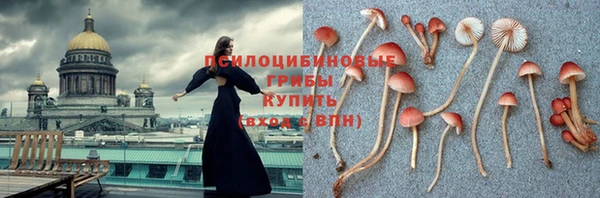 дживик Белокуриха
