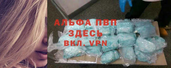 дживик Белокуриха